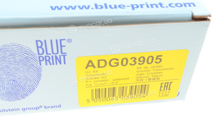 Blue Print ADG03905