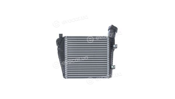 Mahle CI 141 000P