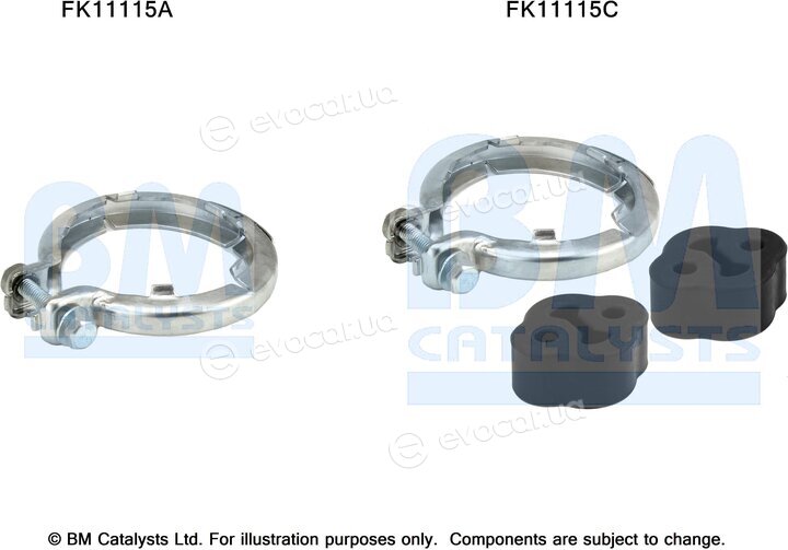 BM Catalysts FK11115