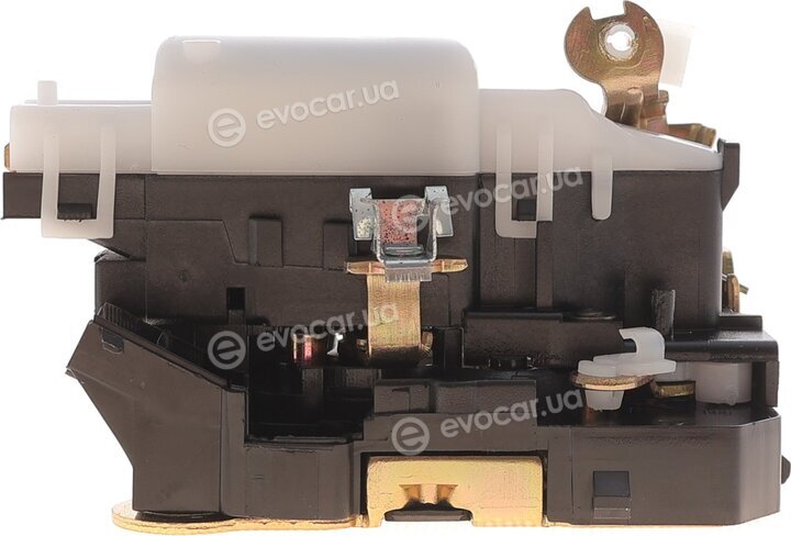 Solgy 305036