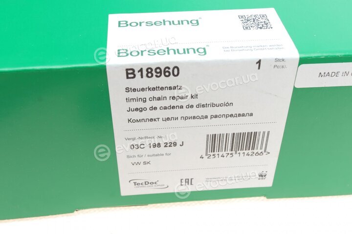 Borsehung B18960