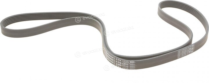 Continental 6PK1733WP2