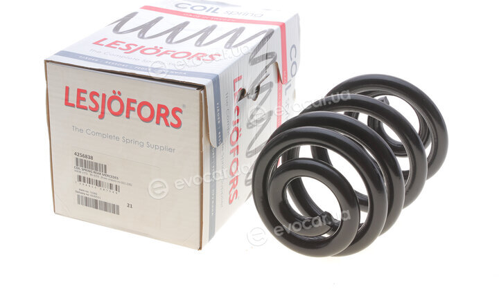 Lesjofors 4256838
