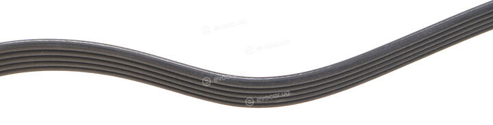 Dayco 5PK1090