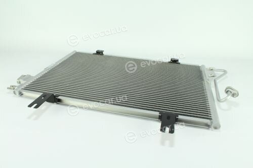 Kale 389400