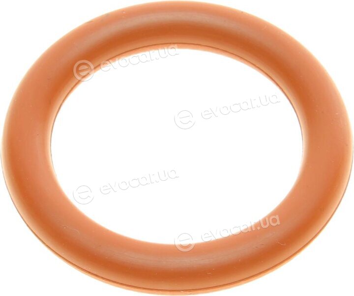 Elring 469.080
