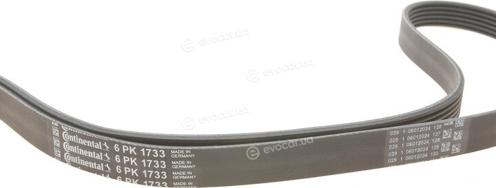 Continental 6PK1733WP2