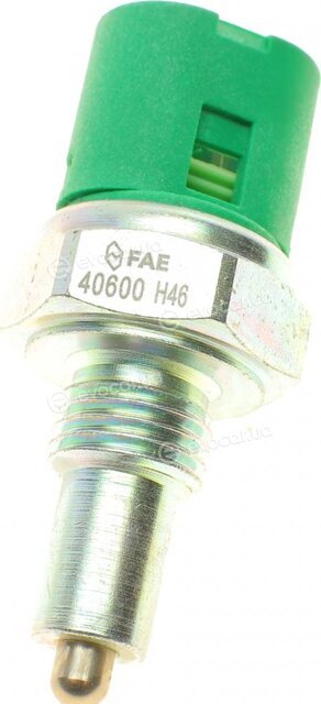 FAE 40600