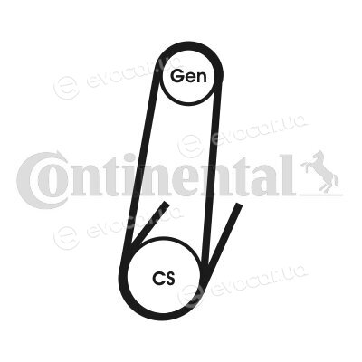 Continental 4PK592 ELAST