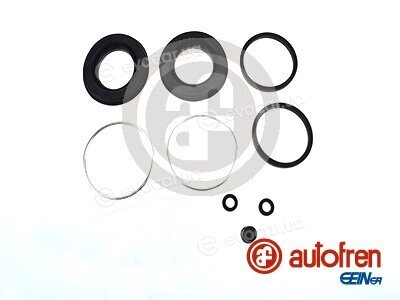 Autofren D4202