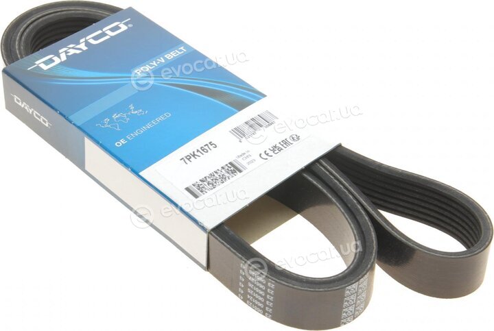 Dayco 7PK1675