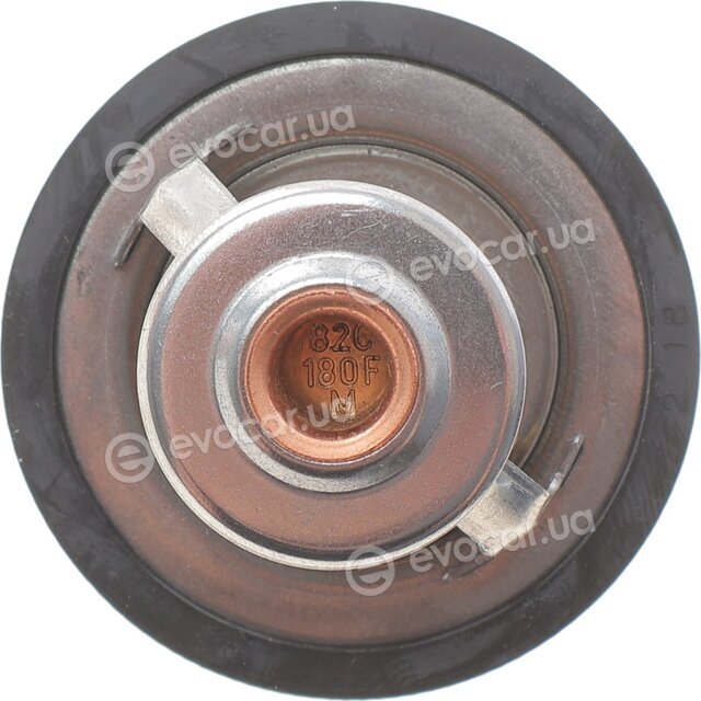 Motorad 2033-82K