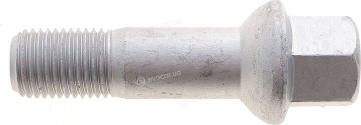 Solgy 204237