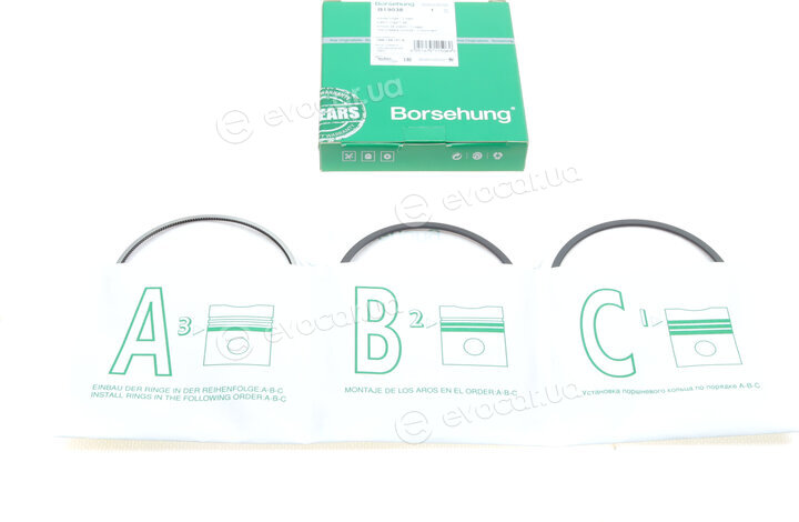 Borsehung B19038