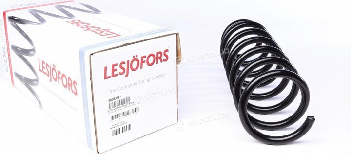 Lesjofors 4008497