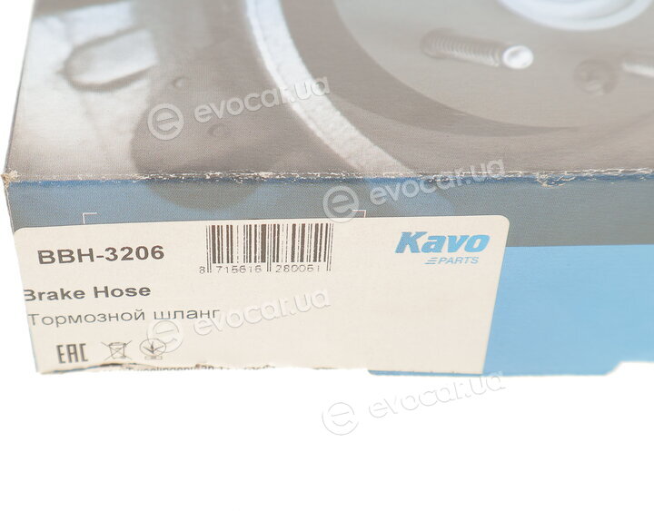 Kavo BBH-3206