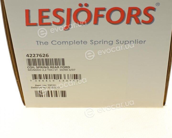 Lesjofors 4227626