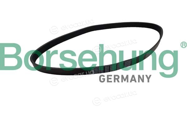 Borsehung B12354