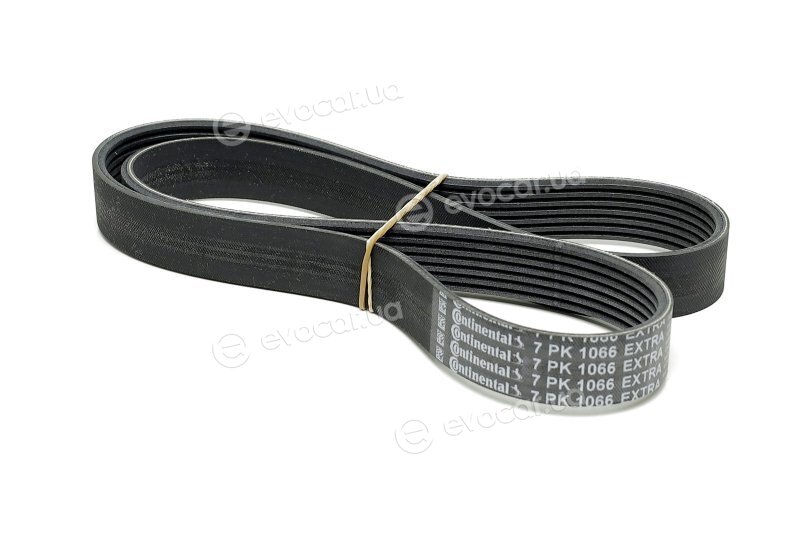 Continental 7PK1066 EXTRA