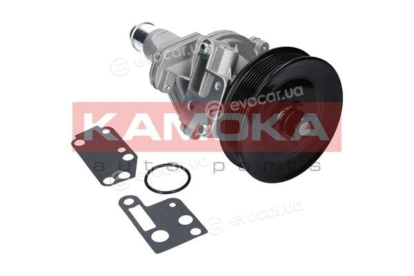 Kamoka T0142