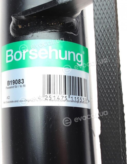 Borsehung B19083