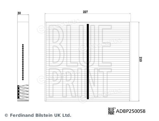 Blue Print ADBP250058