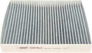 Hengst E3919LC