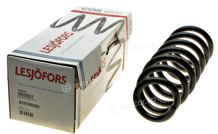 Lesjofors 4008491