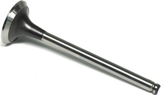 Gunes 4682