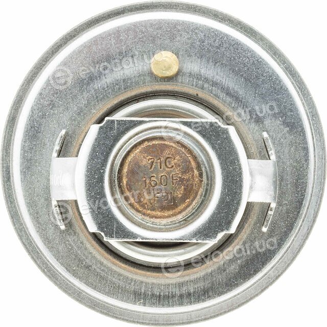 Motorad 241-82K