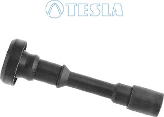 Tesla CP087