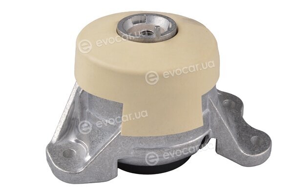 Tedgum TED38367
