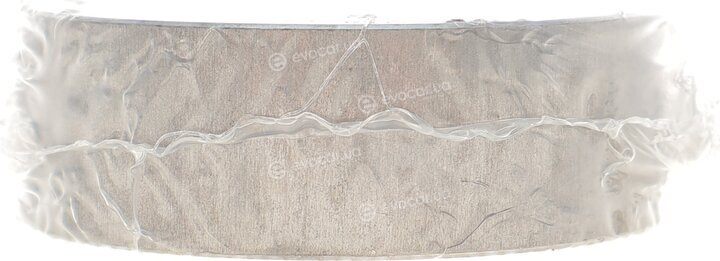 Mahle 081 PL 21836 025