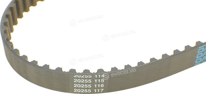 Dayco 94118