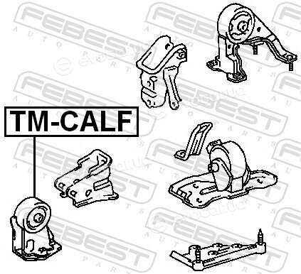 Febest TM-CALF