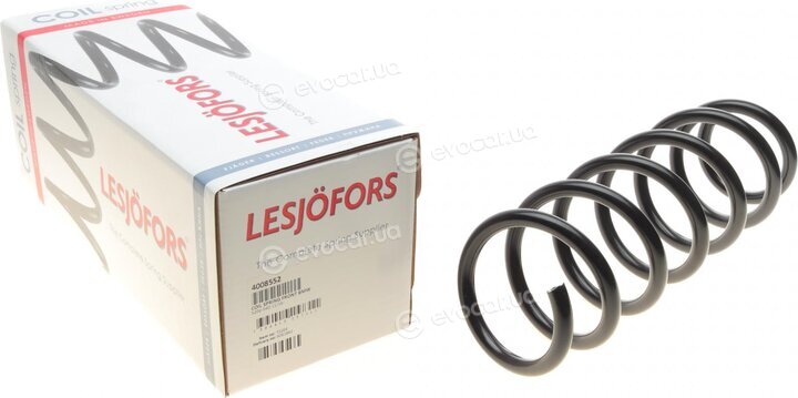 Lesjofors 4008552