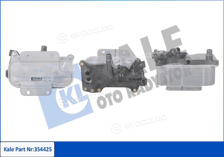 Kale 354425