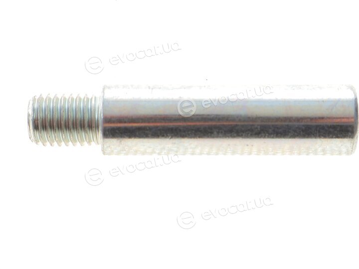AIC 55282