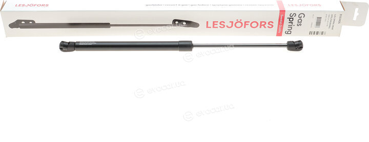Lesjofors 8163426