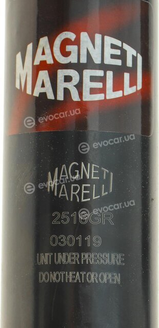 Magneti Marelli 352516070100