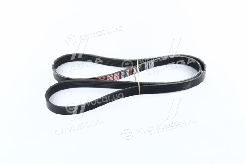 Dongil 6PK1555