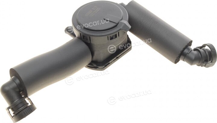AIC 55994