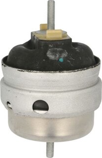 Reinhoch RH11-0162