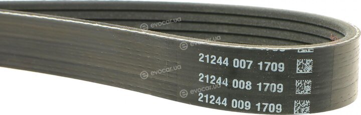 Dayco 6PK1355