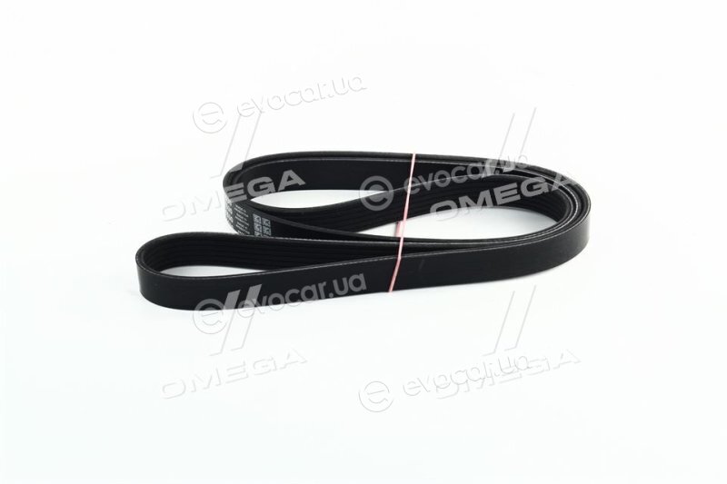 Dayco 6PK1530
