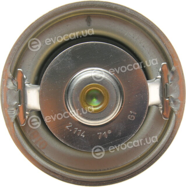 Mahle TX 25 71D
