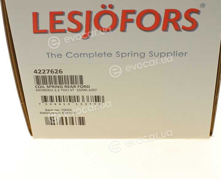 Lesjofors 4227626