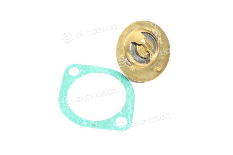 Wahler / BorgWarner 3119.82D4
