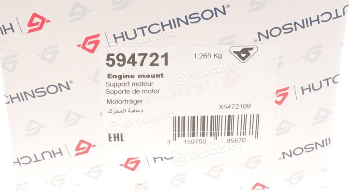 Hutchinson 594721