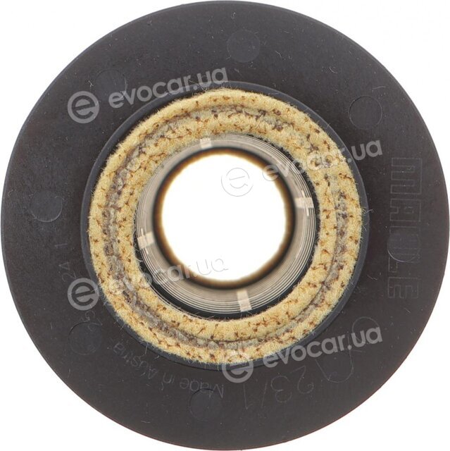 Mahle OX 123/1D